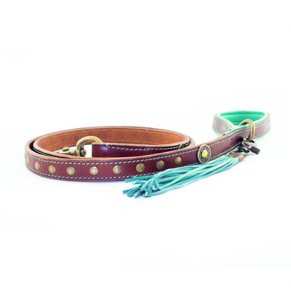  DWAM Dog Lead Joe