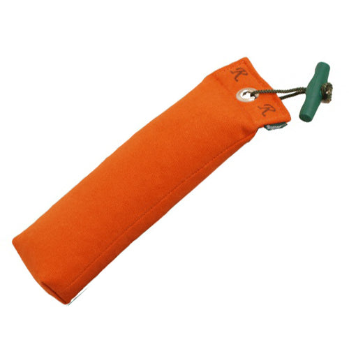  Romney's Canvas Dummy