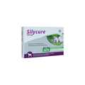  Silycure
