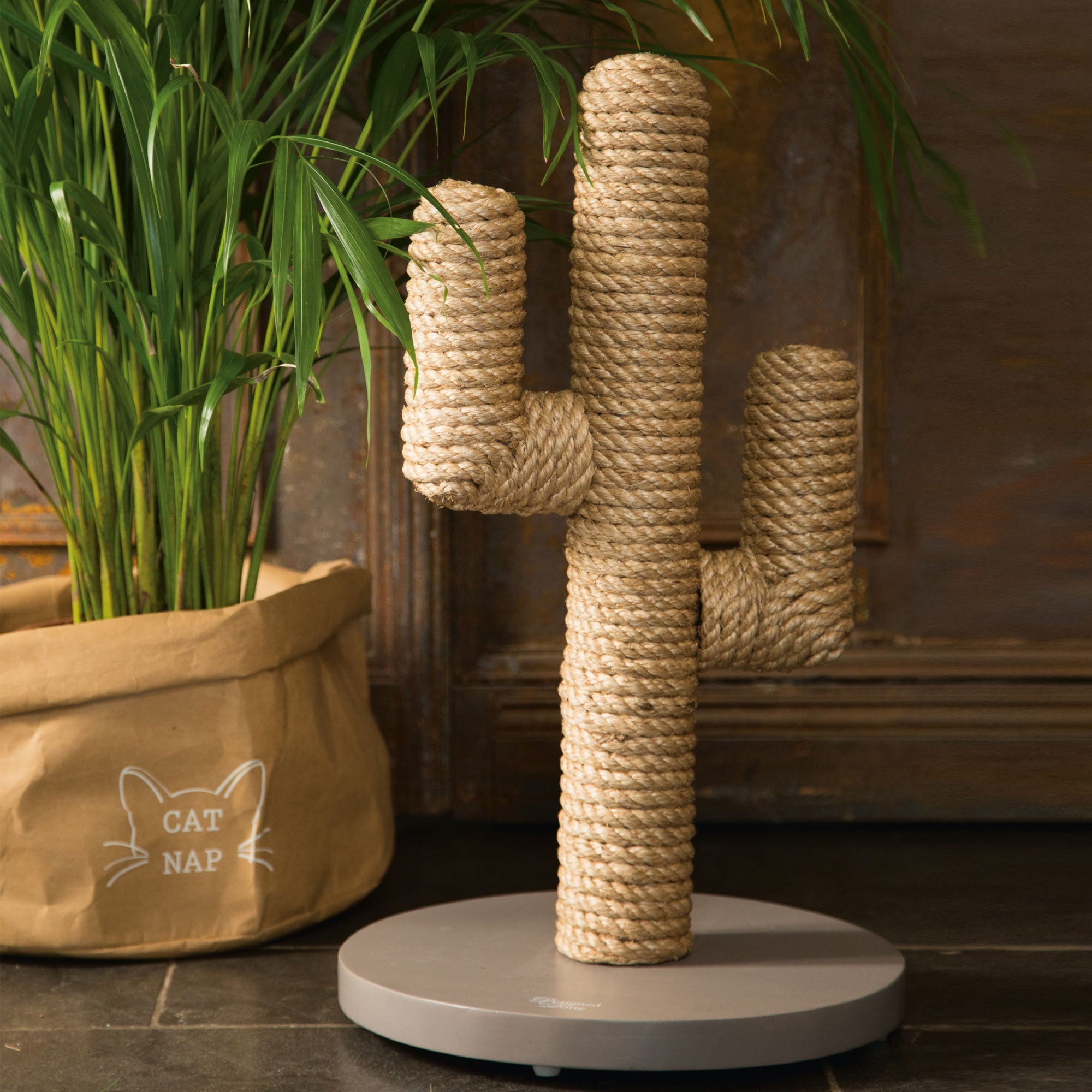  Designed By Lotte Cactus Scratching Post