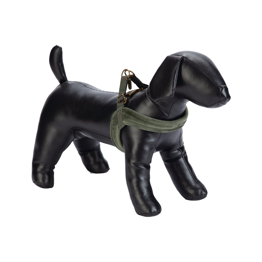  Designed By Lotte Velura Dog Harness