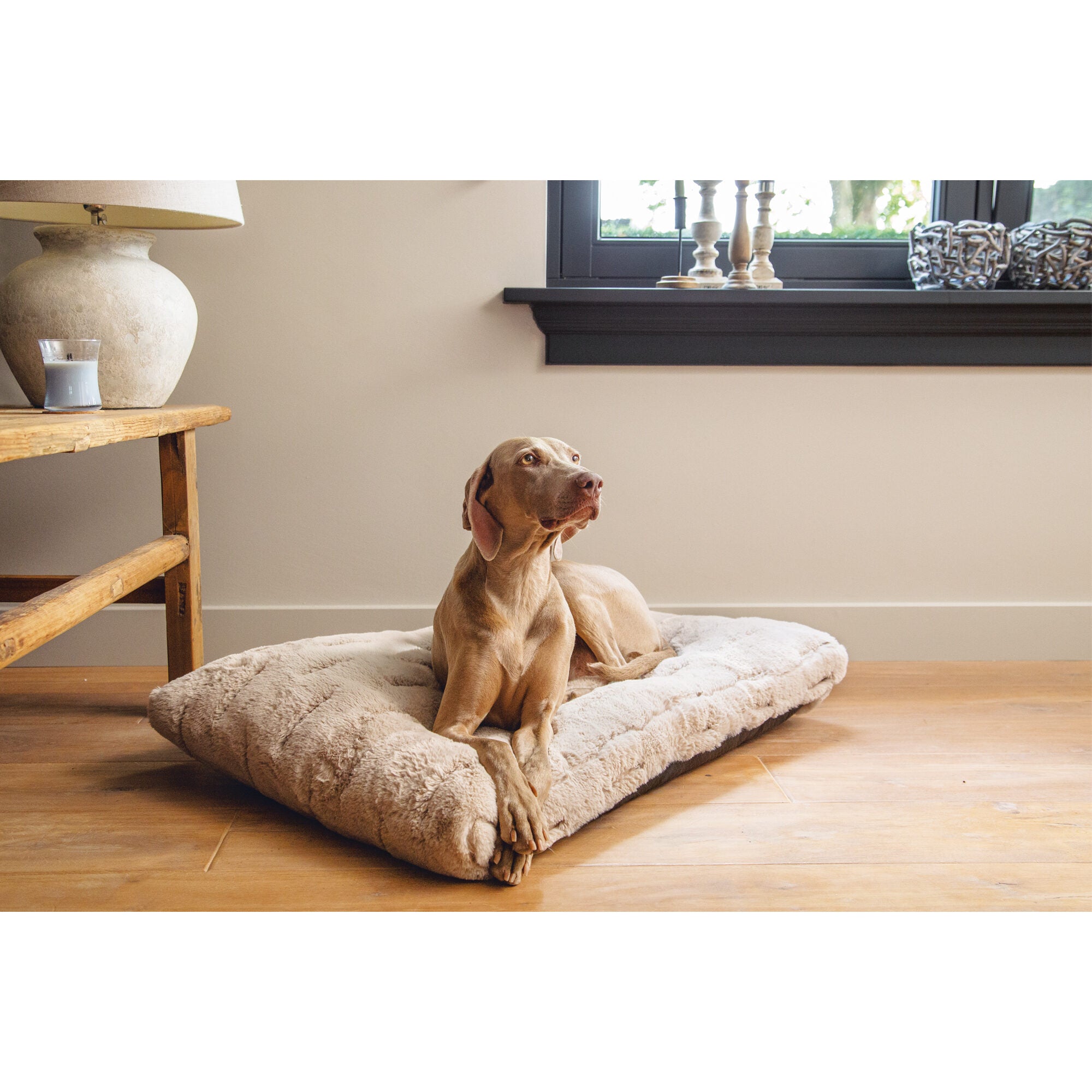  Designed By Lotte Xanti Dog Bed