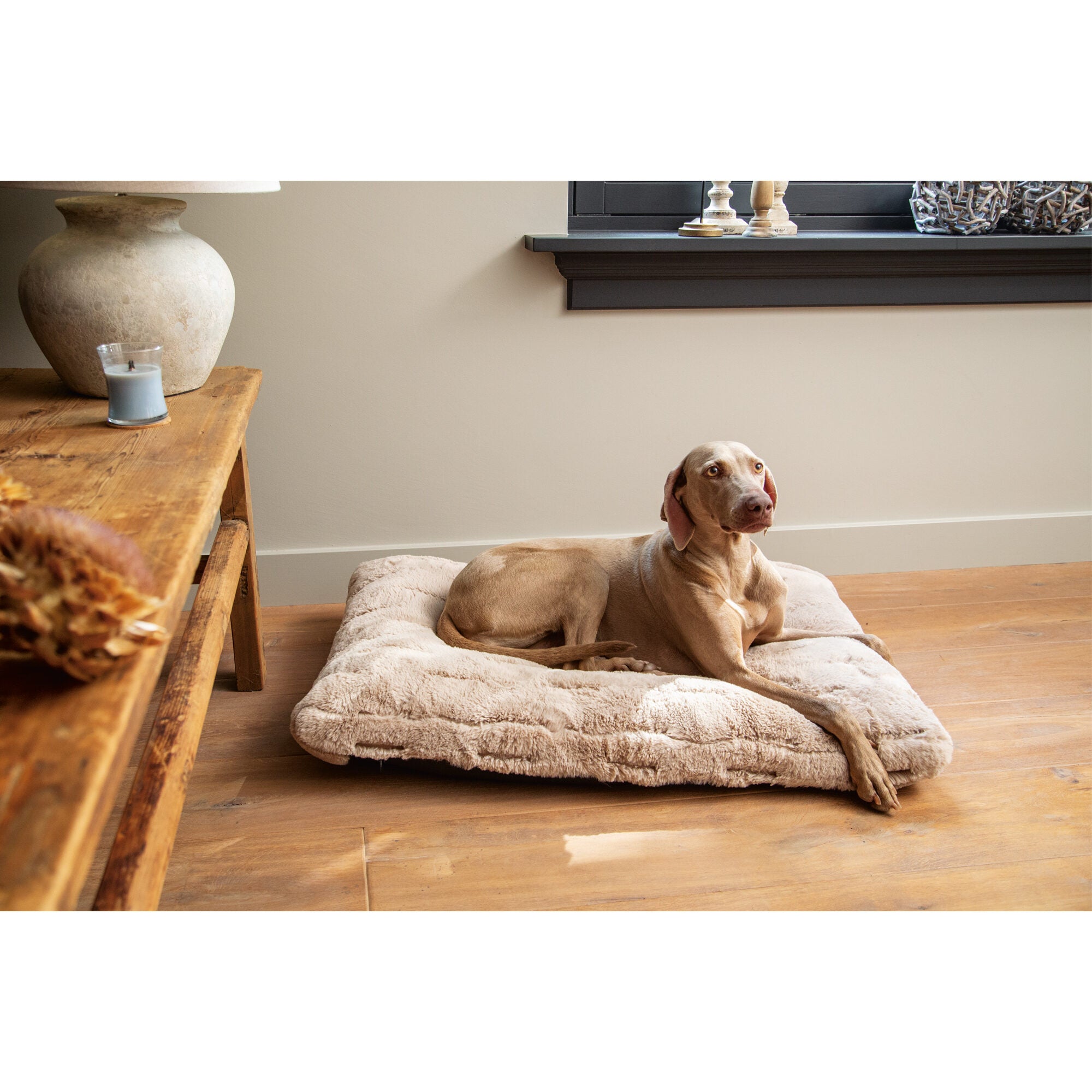  Designed By Lotte Xanti Dog Bed