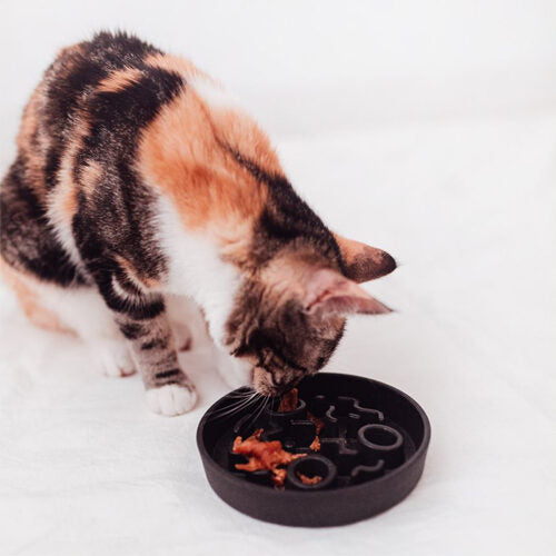  District 70 Bamboo Cat Slow Feeder