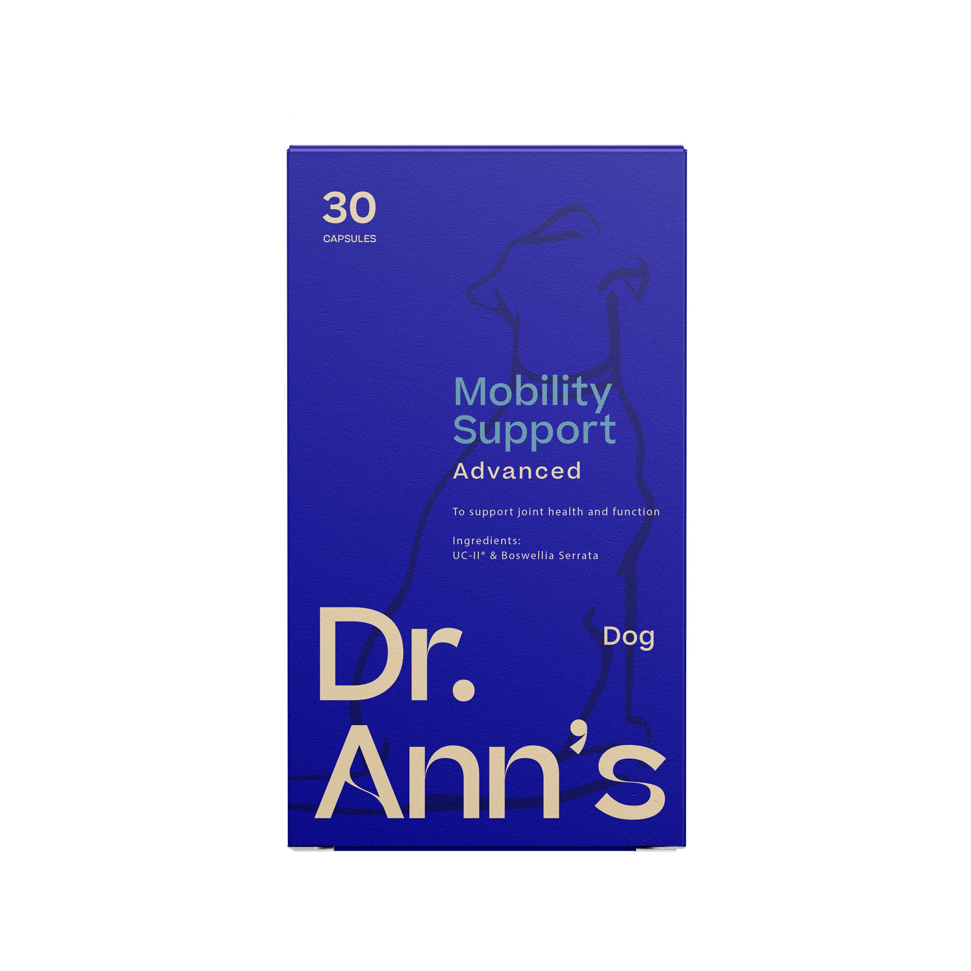  Dr. Ann's Mobility Support Advanced