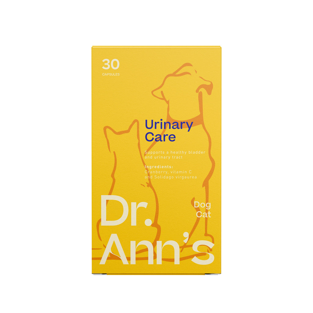  Dr. Ann's Urinary Care