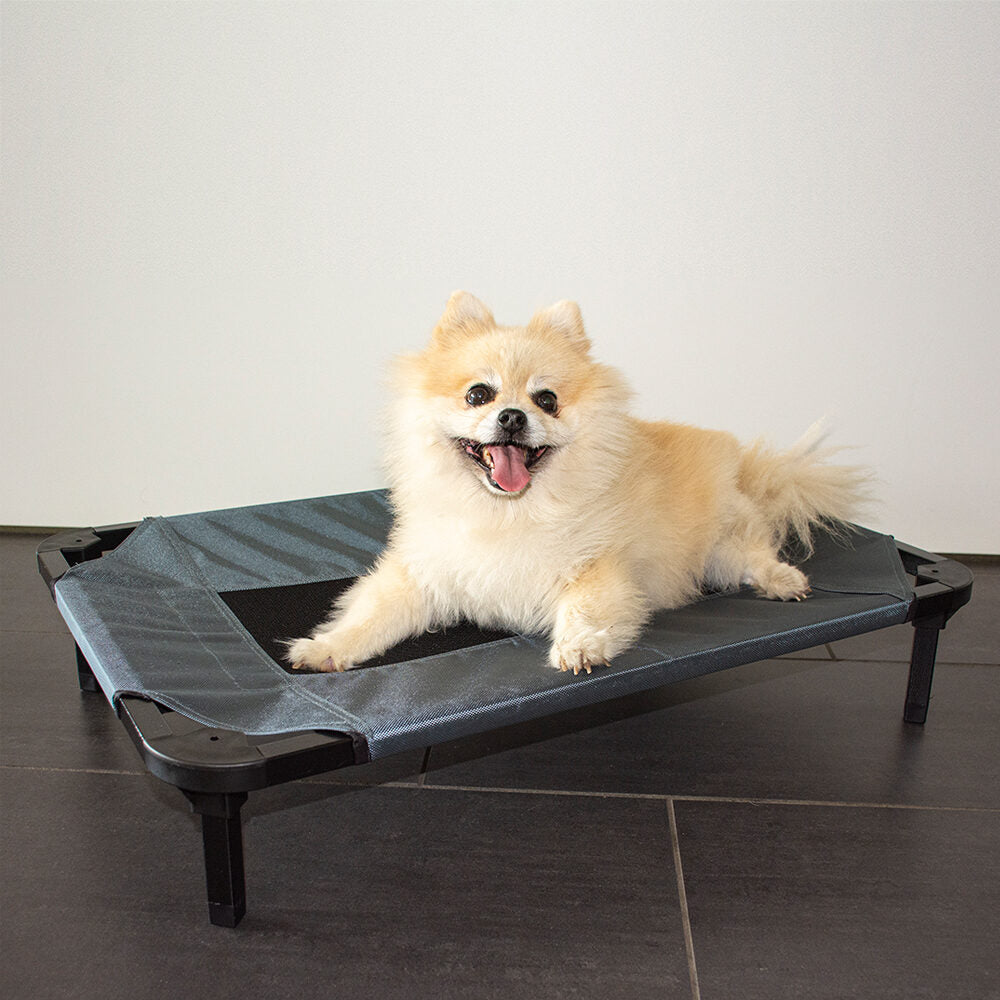  Duvo+ Dog Stretcher Relax