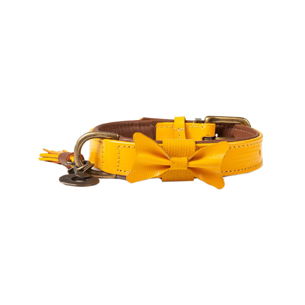  DWAM Collar Bibi