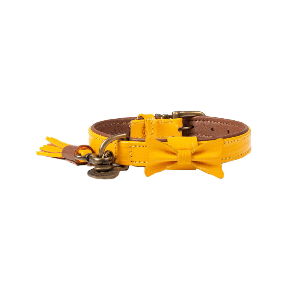  DWAM Collar Bibi