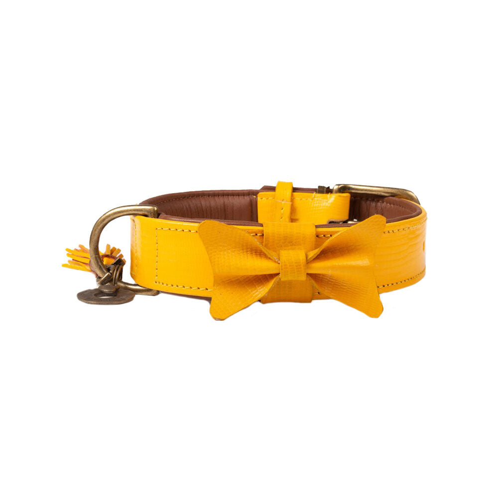  DWAM Collar Bibi