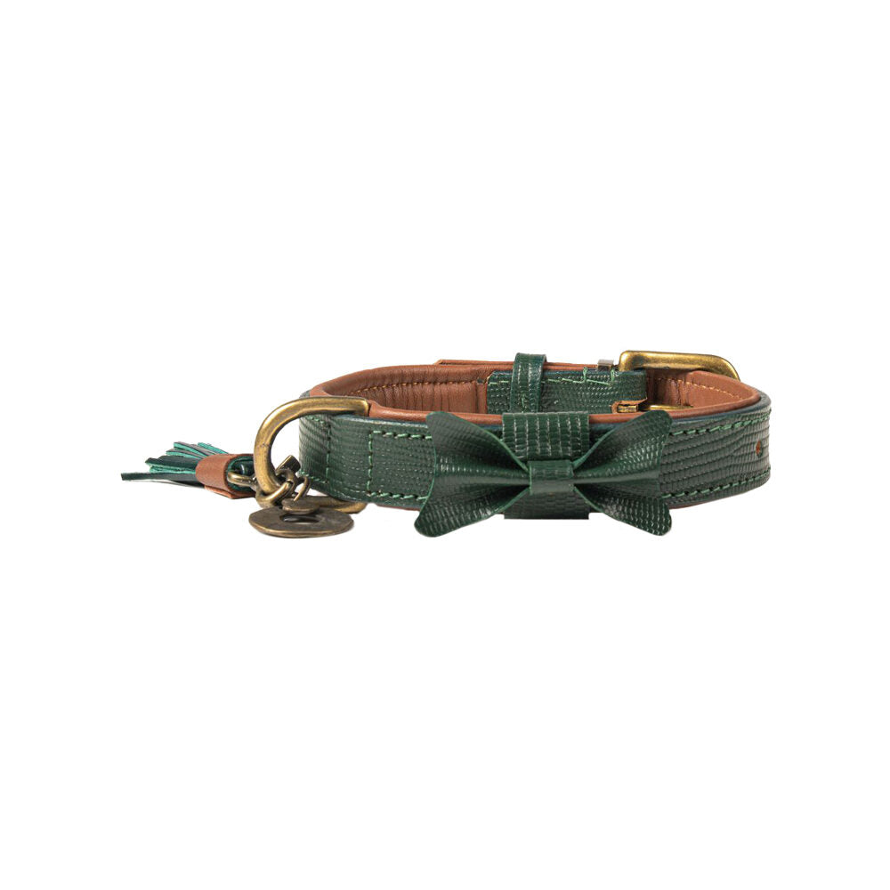  DWAM Collar Bowie