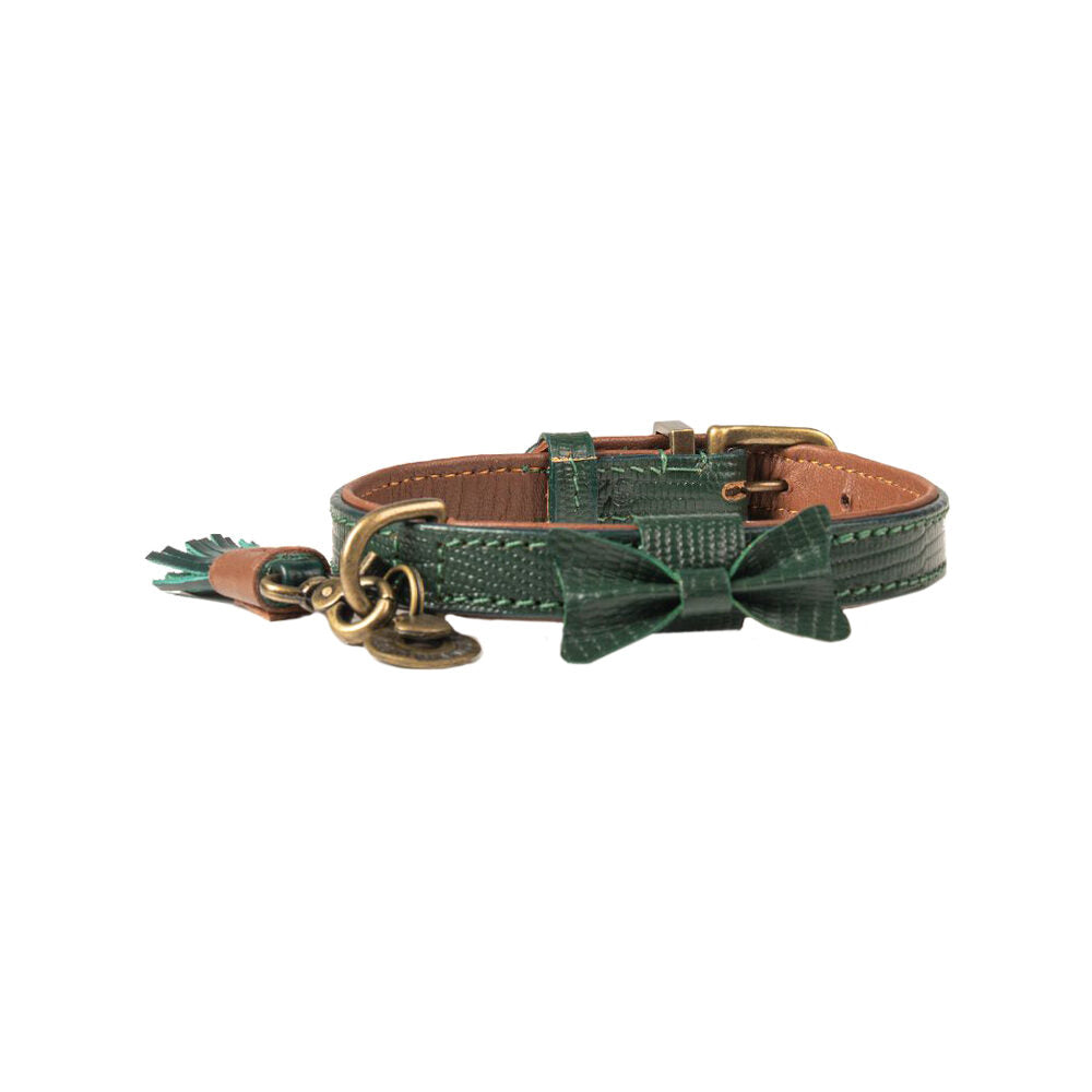  DWAM Collar Bowie