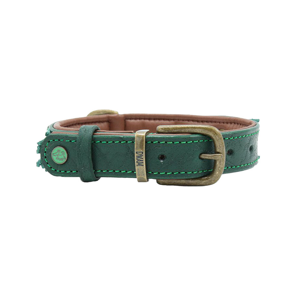  DWAM Collar Ivy 