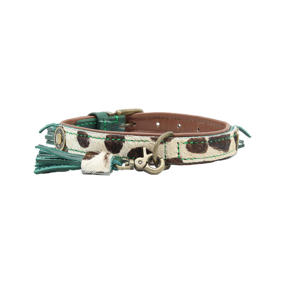  DWAM Collar Ivy 