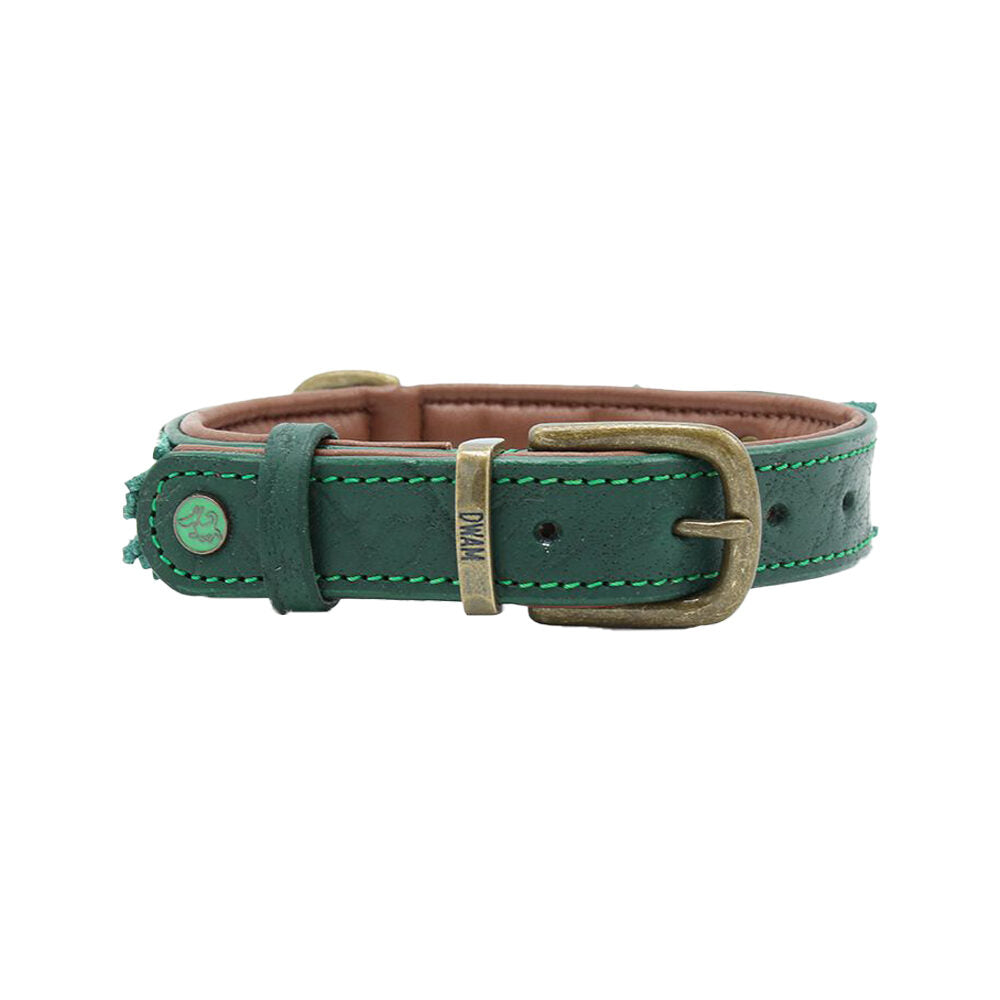  DWAM Collar Ivy 