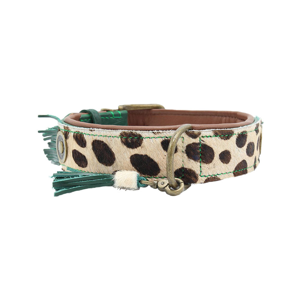  DWAM Collar Ivy 