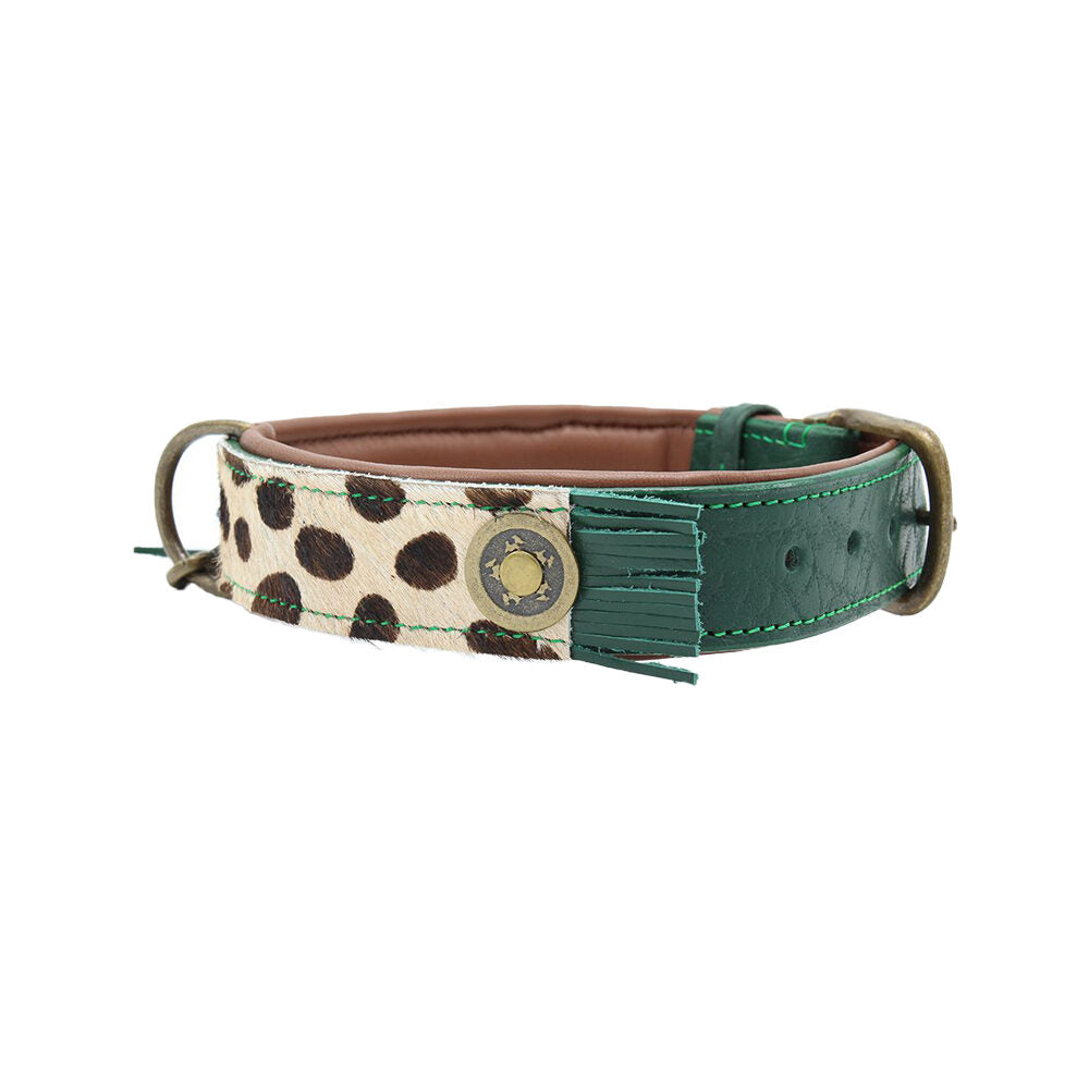  DWAM Collar Ivy 