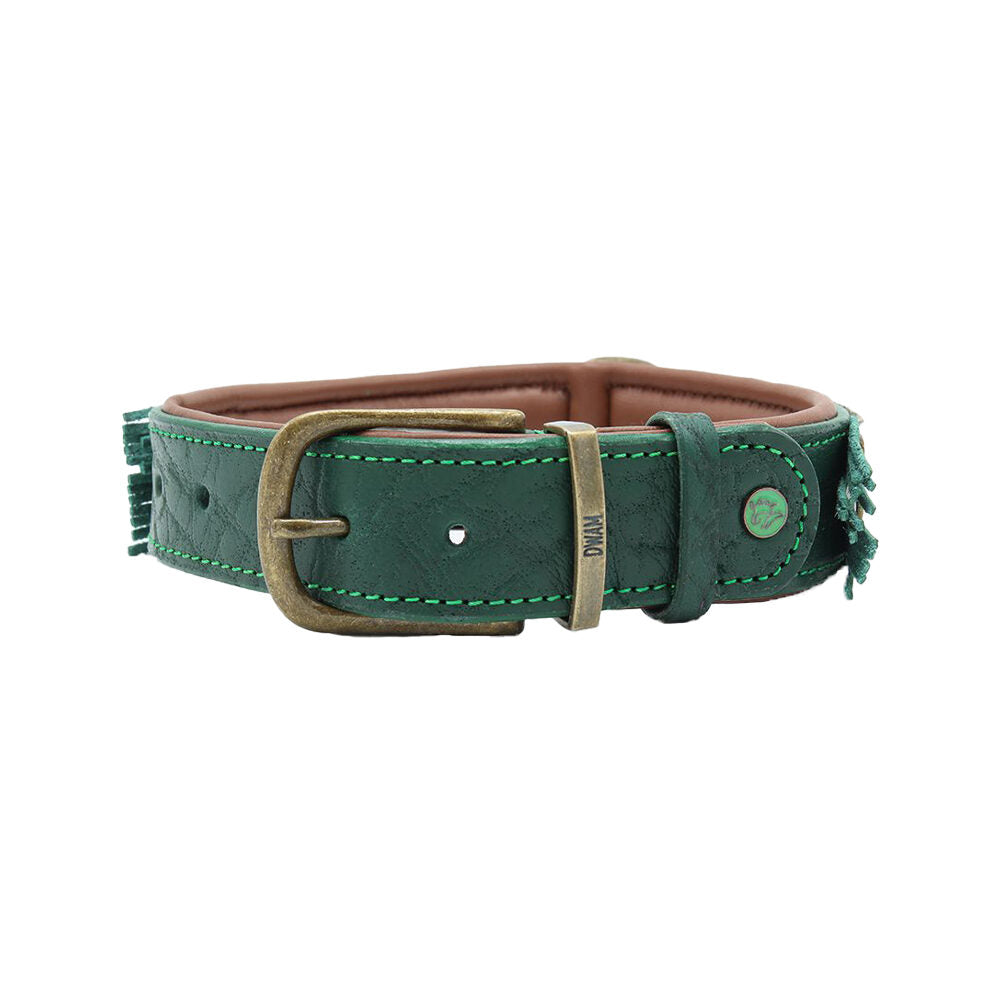  DWAM Collar Ivy 