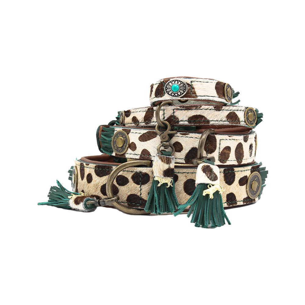  DWAM Collar Ivy 