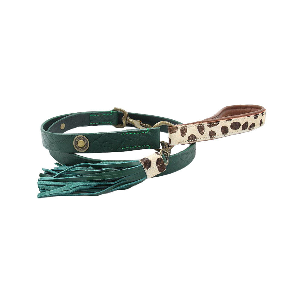  DWAM Dog Leash Ivy