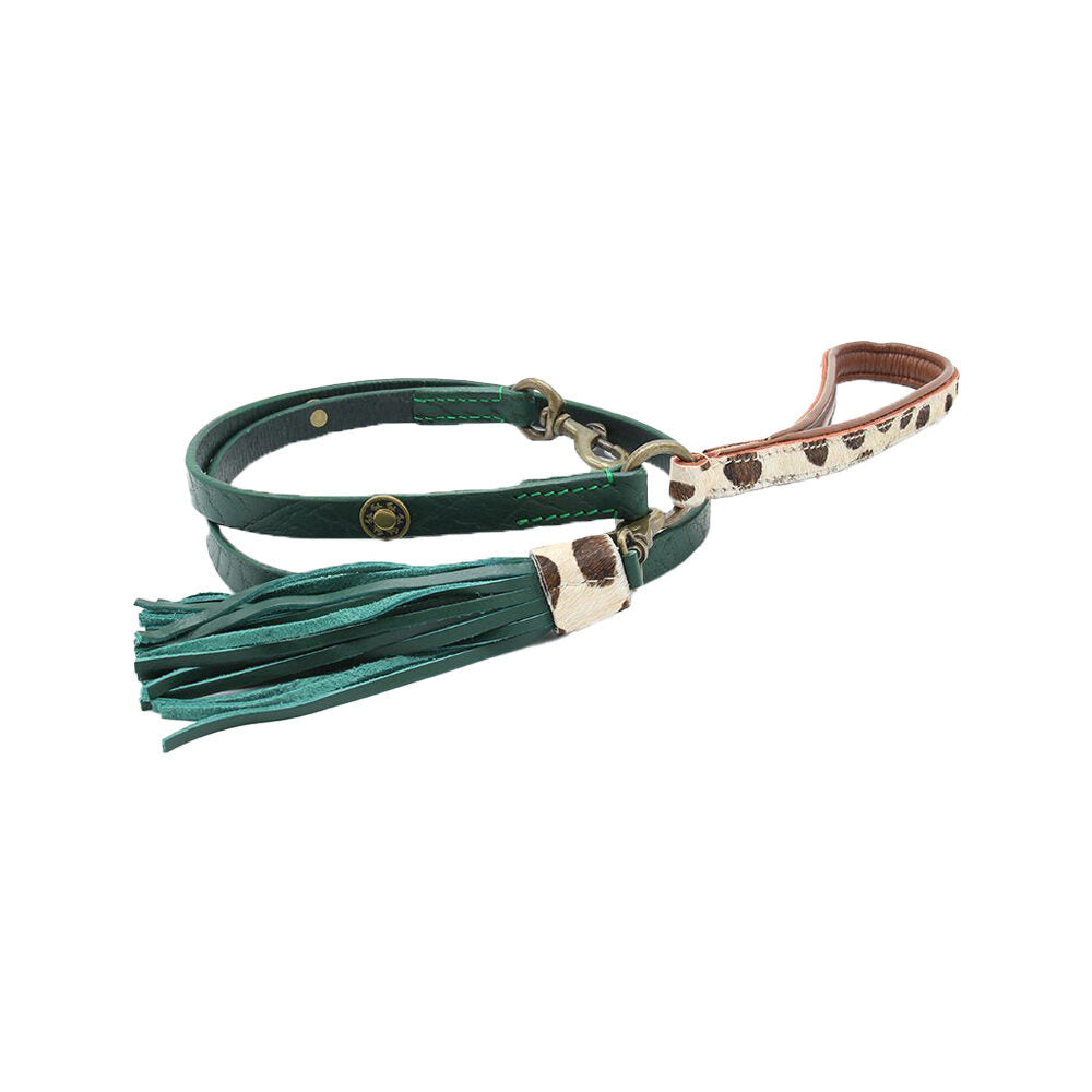  DWAM Dog Leash Ivy