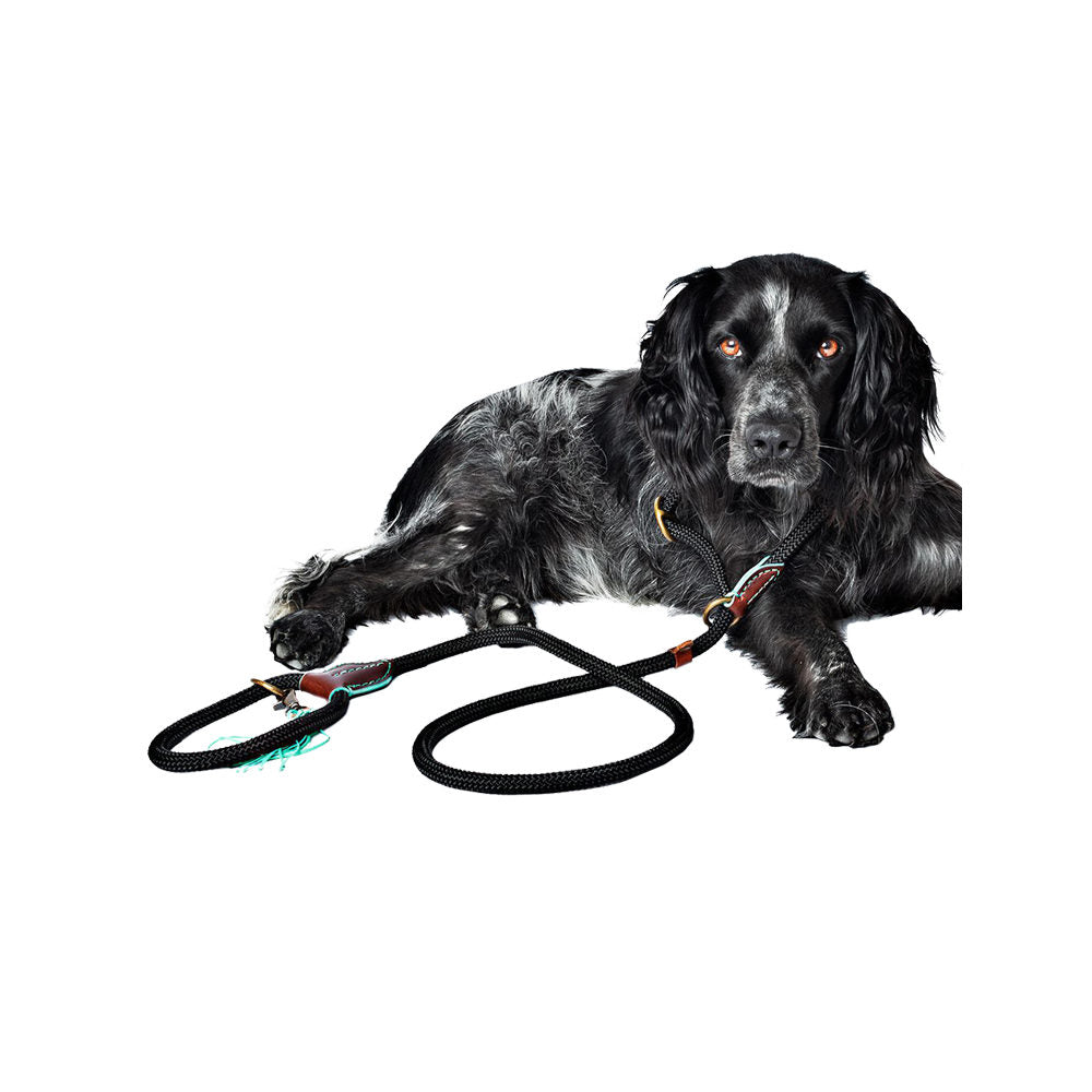  DWAM Dog Leash Long John