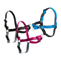 PetSafe Easy Walk Harness