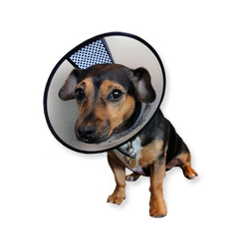  AA Easyfix Collar