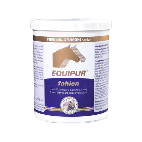  Equipur Fohlen