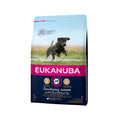  Eukanuba Dog - Developing Junior - Large Breed