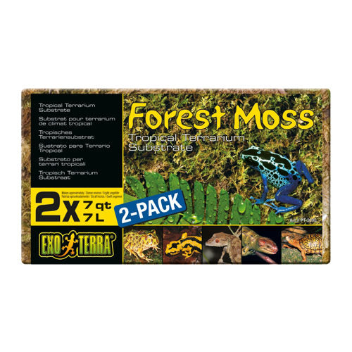  Exo Terra Forest Moss