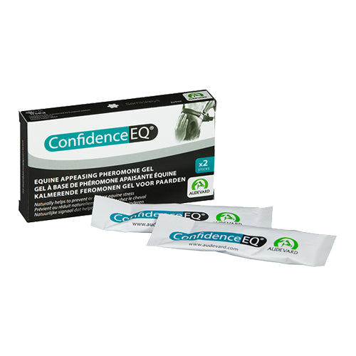  Confidence EQ