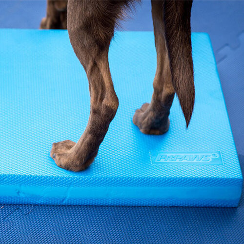  FitPAWS Balance Pad 