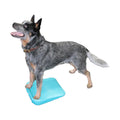  FitPAWS Balance Ramp