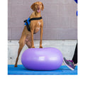  FitPAWS Trax Doughnut