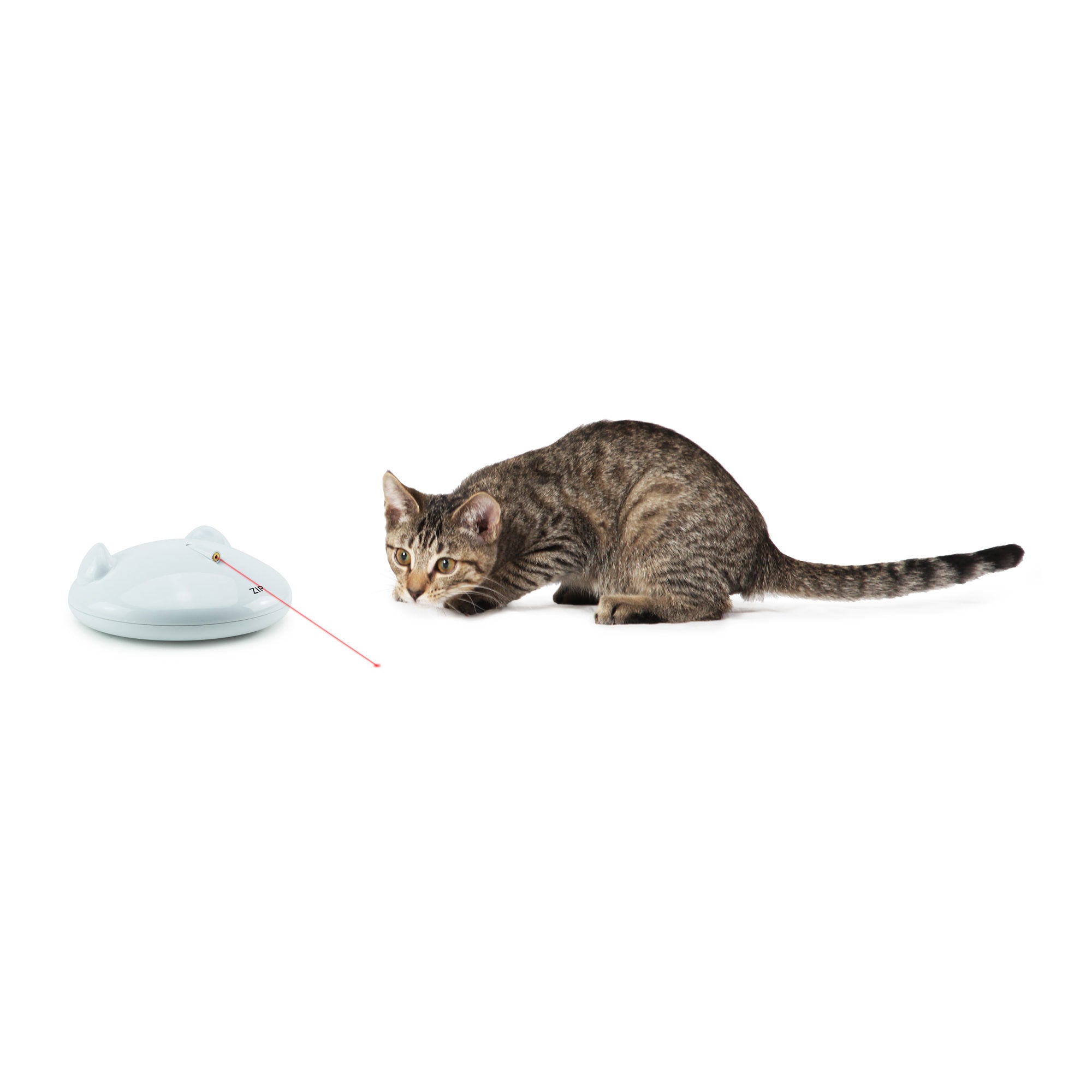  FroliCat Zip