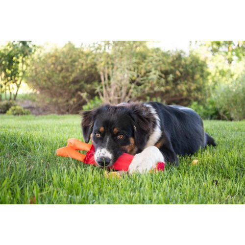 Nylabone Hozies Jeffrey Jungle - Small