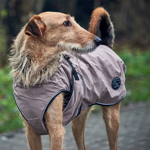  Hunter Dog Coat Uppsala Taupe