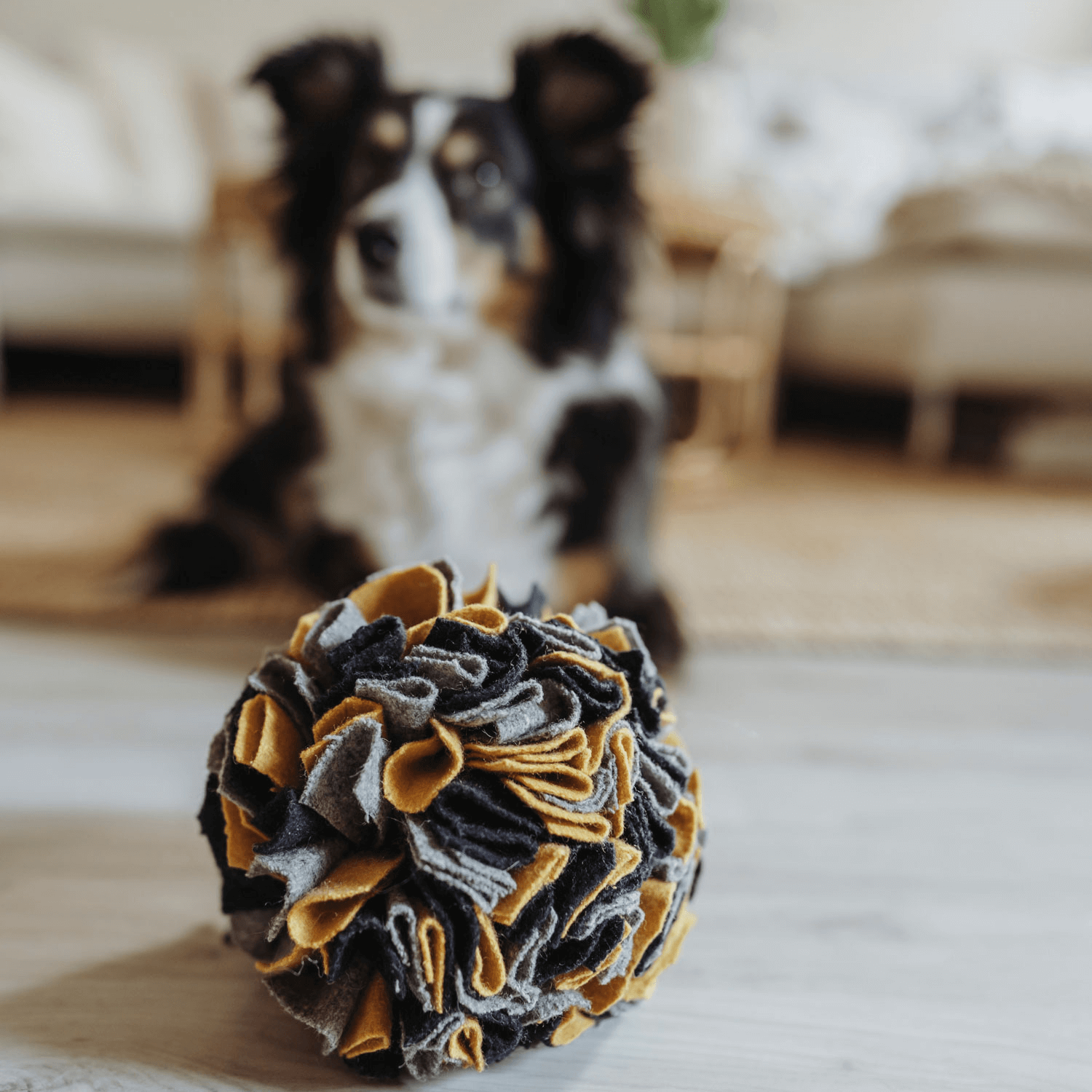  Hunter Snuffle Ball Eiby 