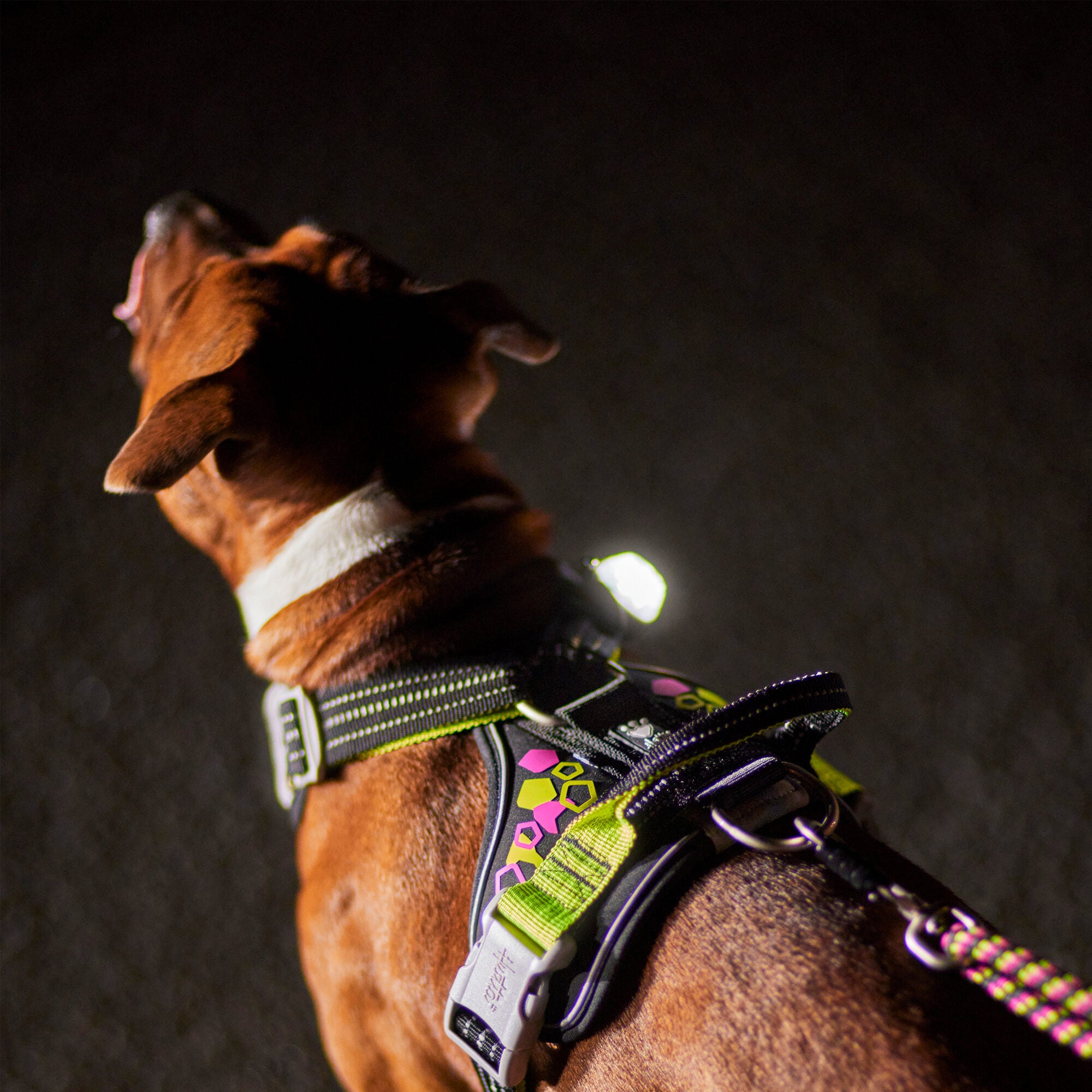  Hurtta Weekend Warrior Harness - Neon Licorice
