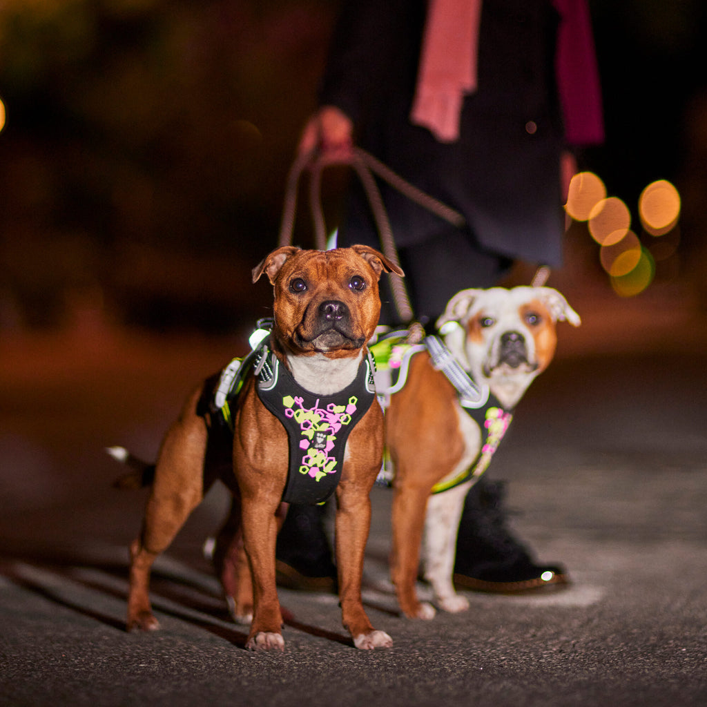  Hurtta Weekend Warrior Harness - Neon Licorice