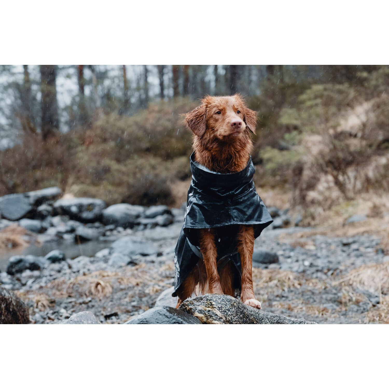  Hurtta Monsoon Coat