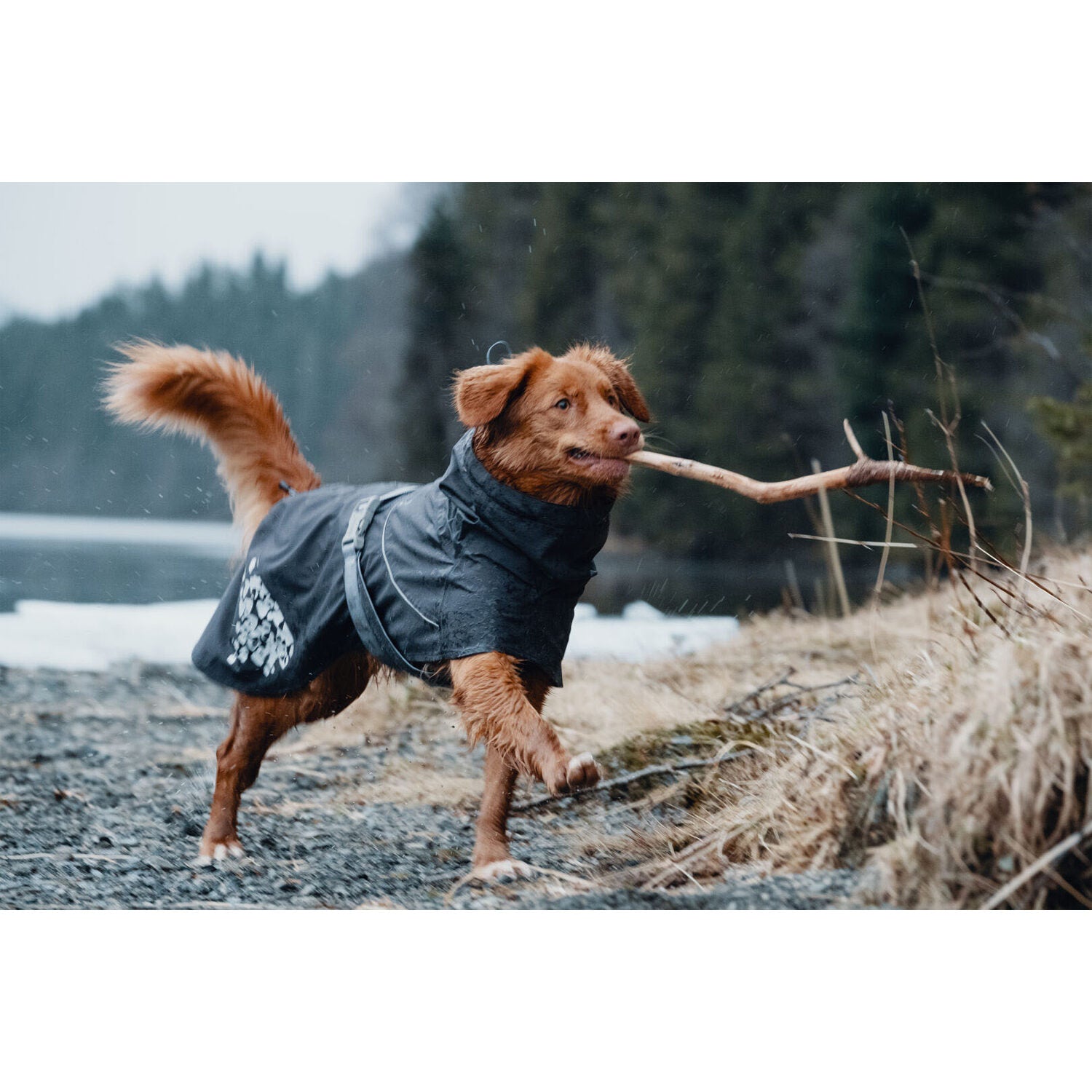  Hurtta Monsoon Coat