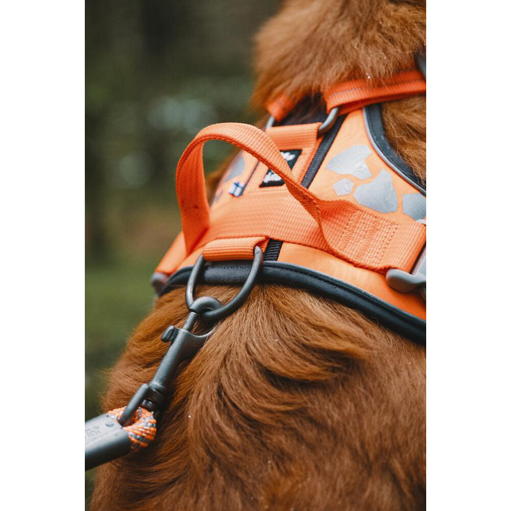  Hurtta Weekend Warrior Harness