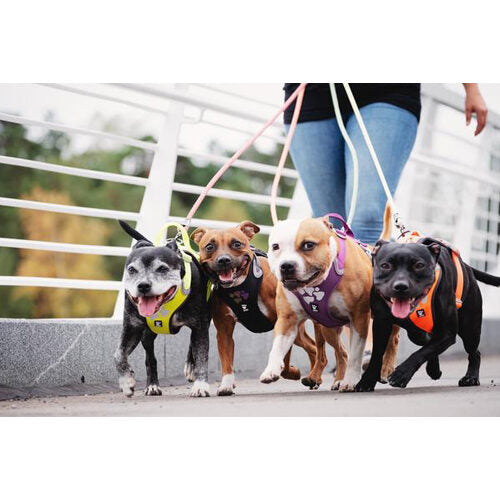  Hurtta Weekend Warrior Harness