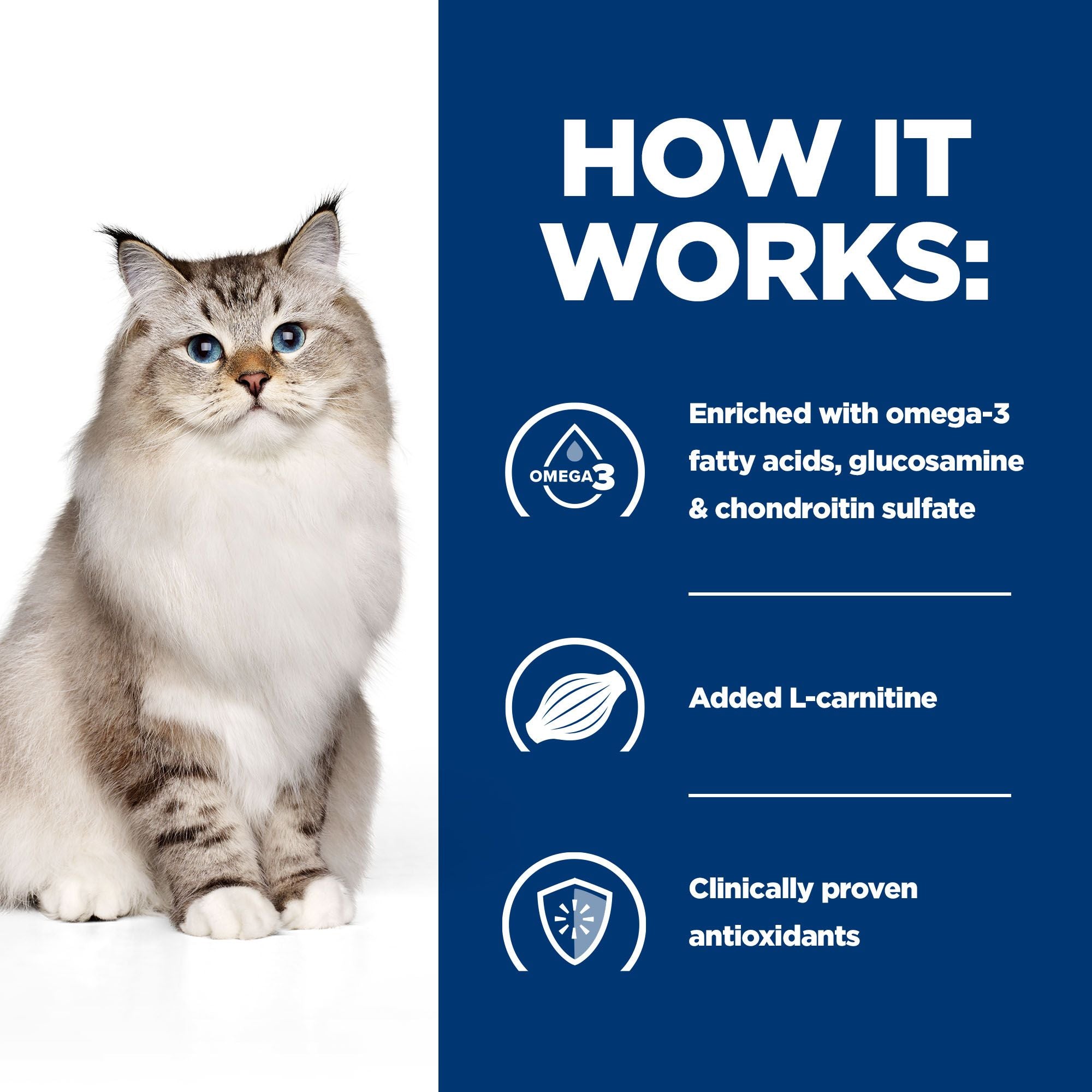  Hill's J/d Joint Care - Prescription Diet - Feline