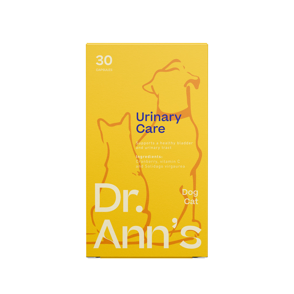  Dr. Ann's Urinary Care