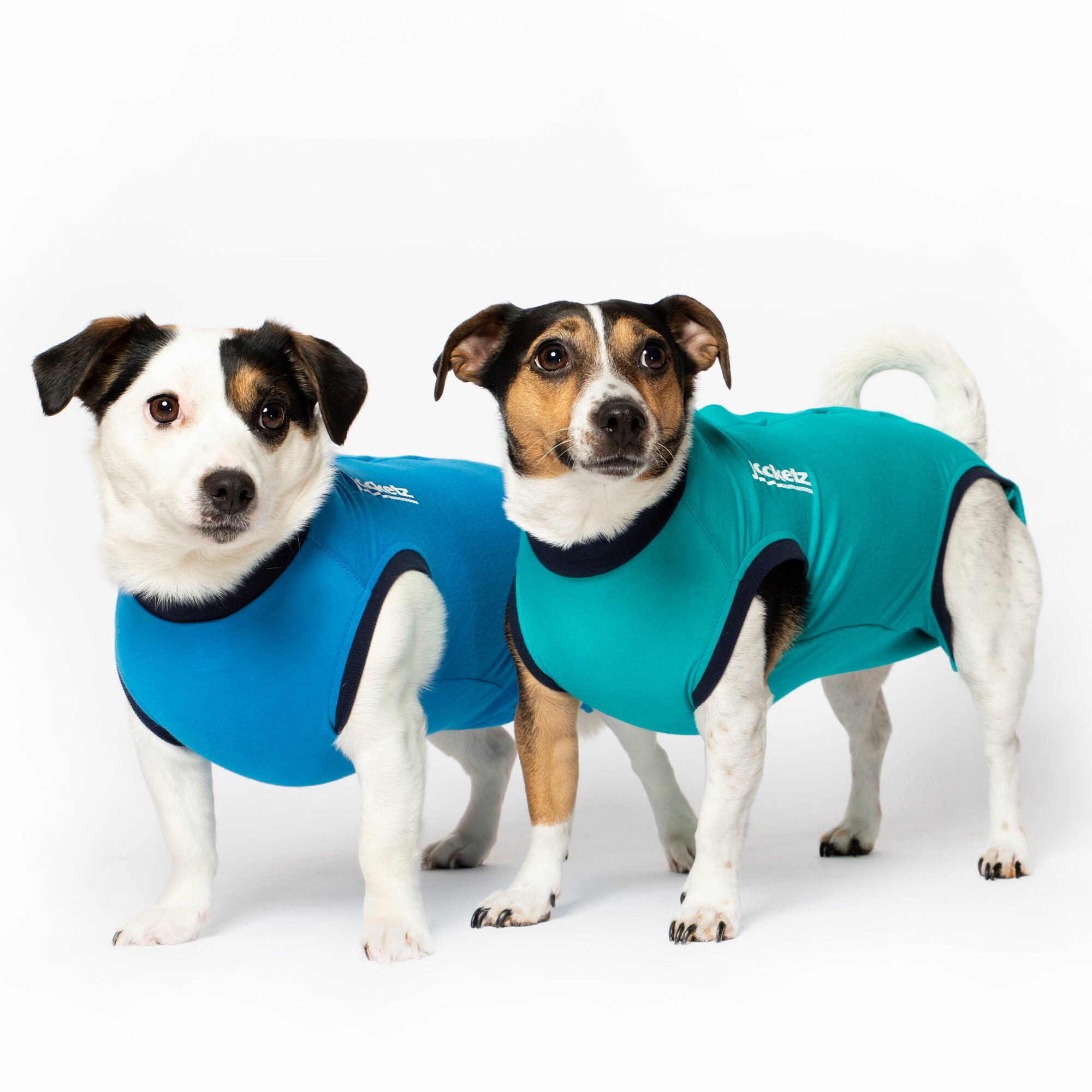  Jacketz Medical Bodysuit Dog