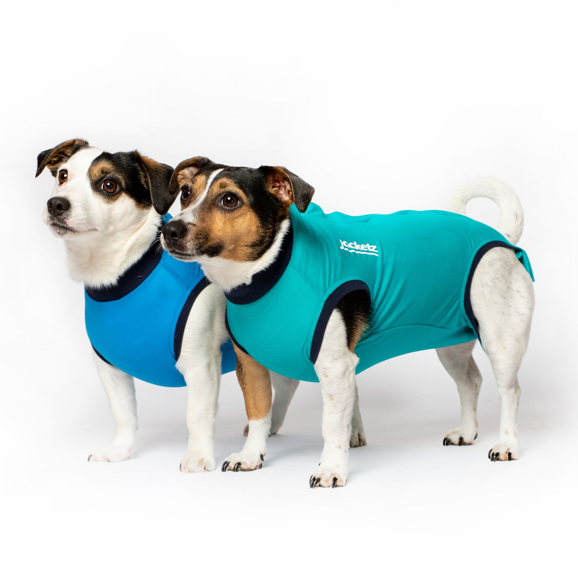  Jacketz Medical Bodysuit Dog