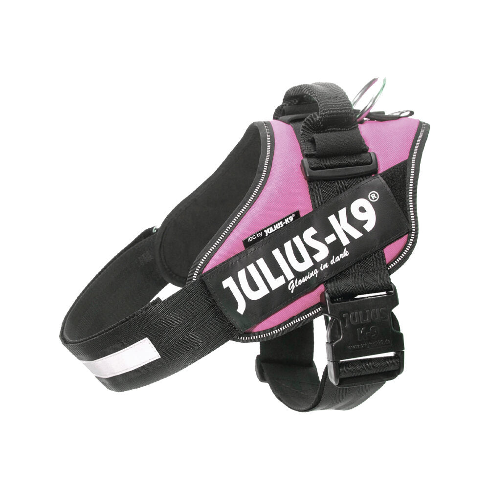  Julius K9 IDC Power Harness
